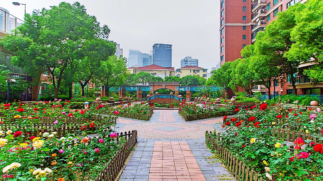 The Courtyard - Image 15