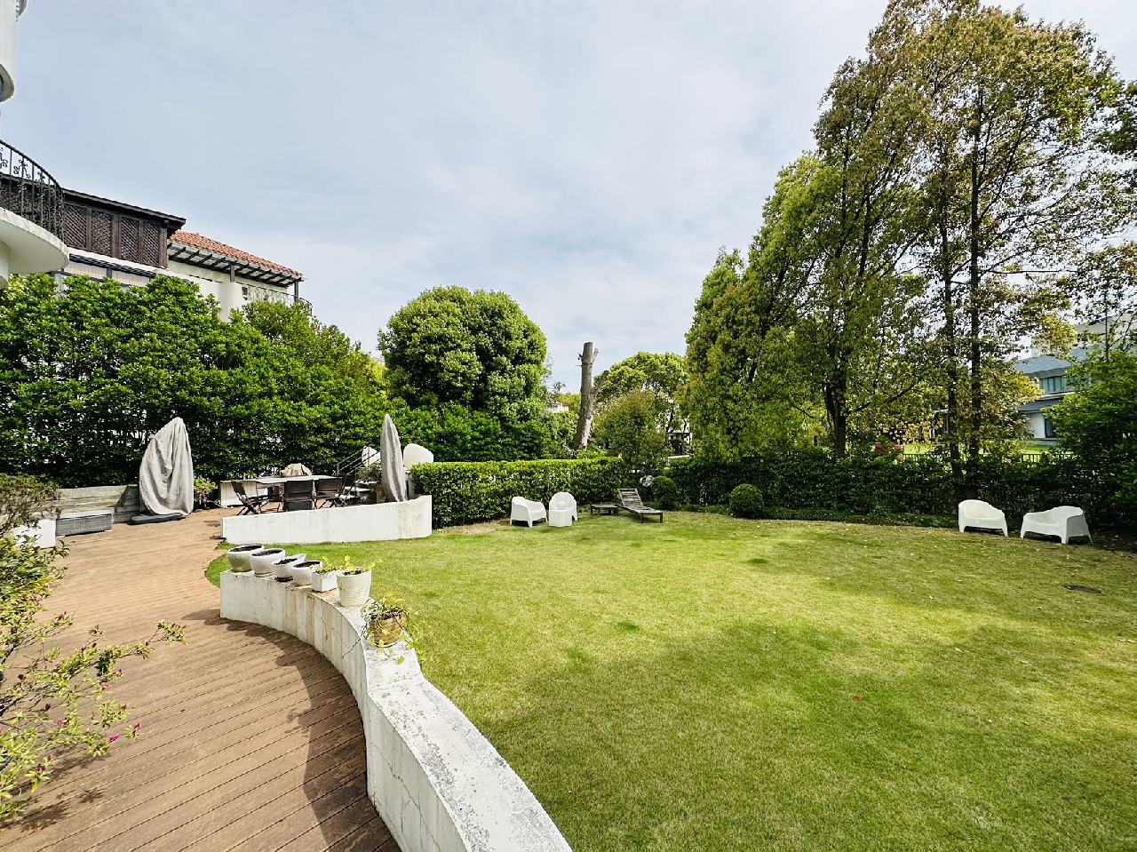 Forest Riviera - Image 9