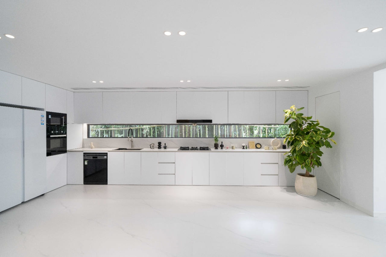 Forest Riviera - Image 5