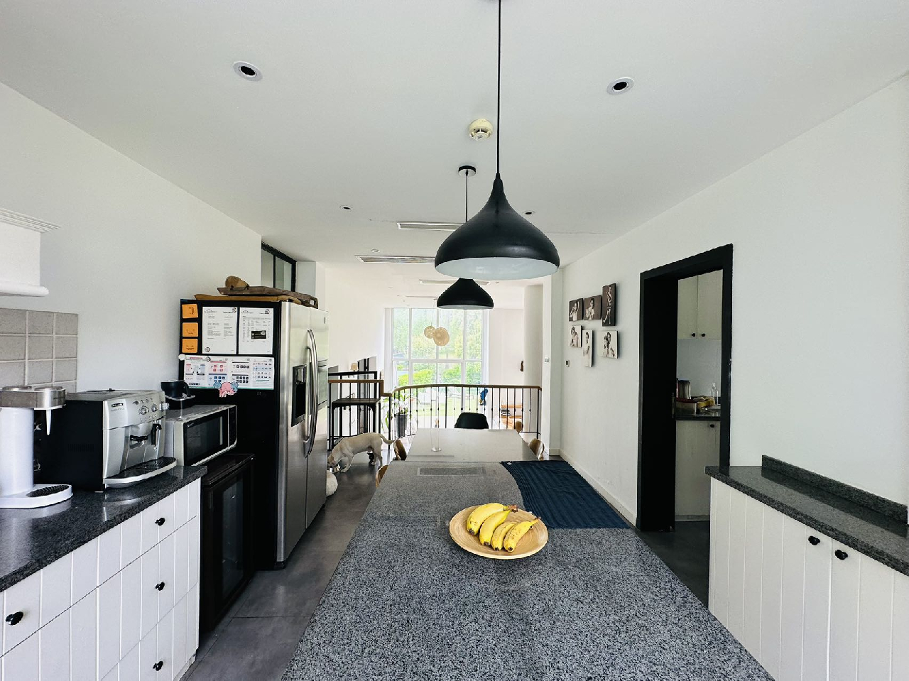 Forest Riviera - Image 3