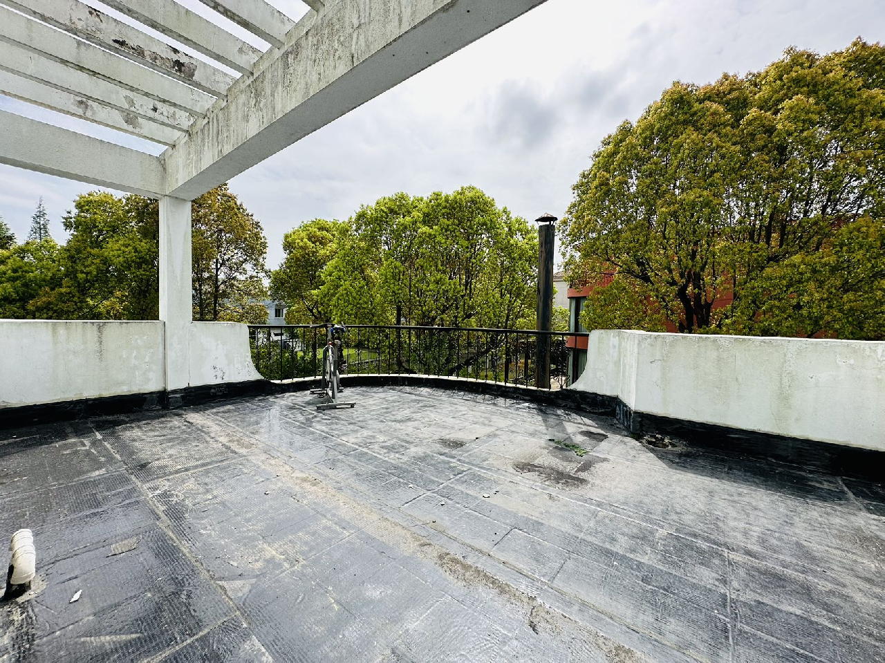 Forest Riviera - Image 7