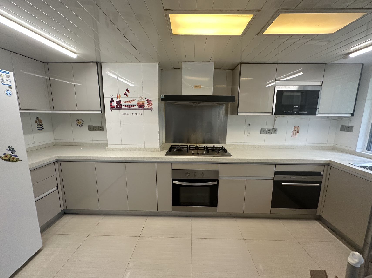 Odin Palace Villa - Image 3